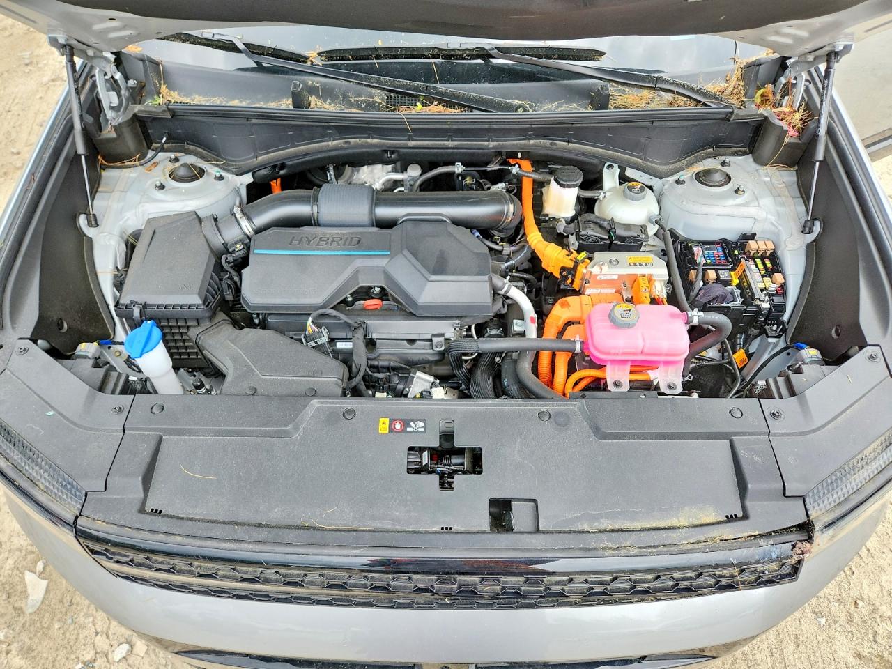 Hyundai SANTA FE Calligraphy