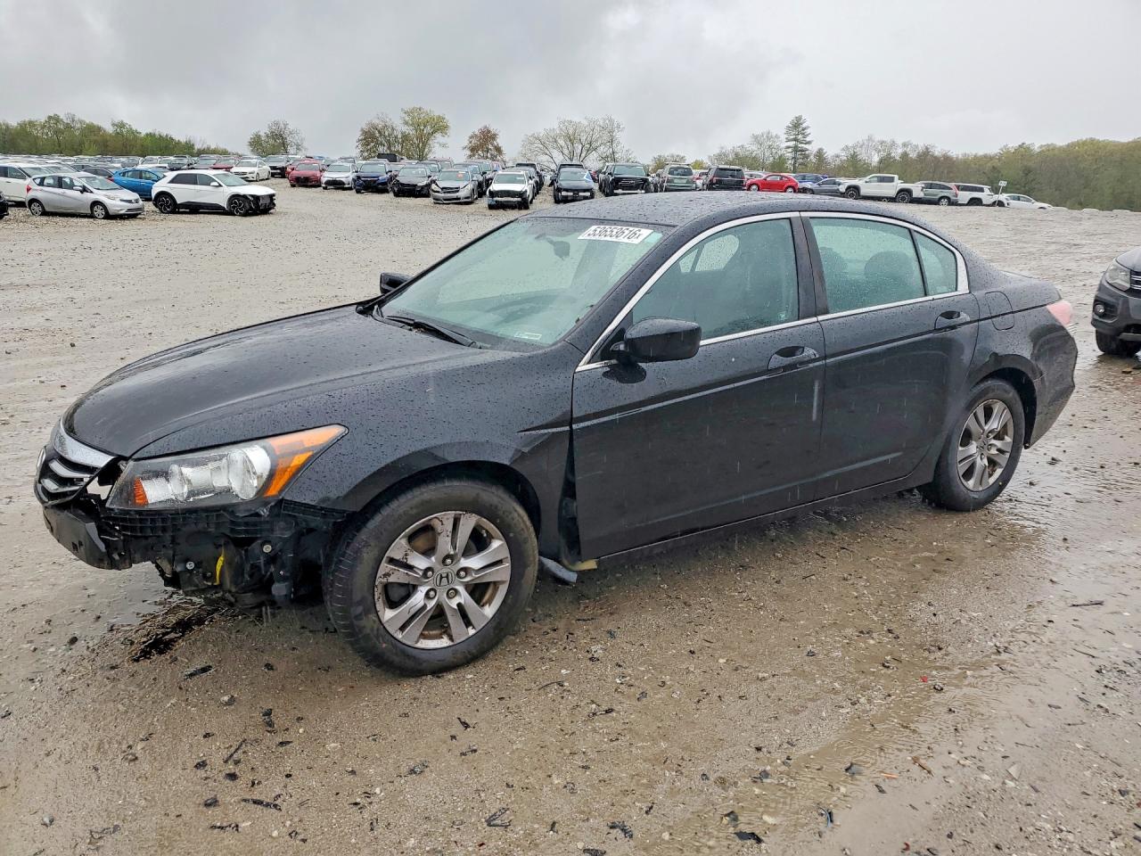 Salvage Honda Accord Image