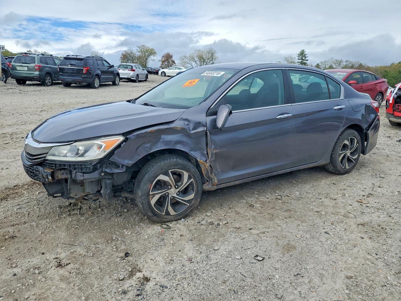 Salvage Honda Accord Image