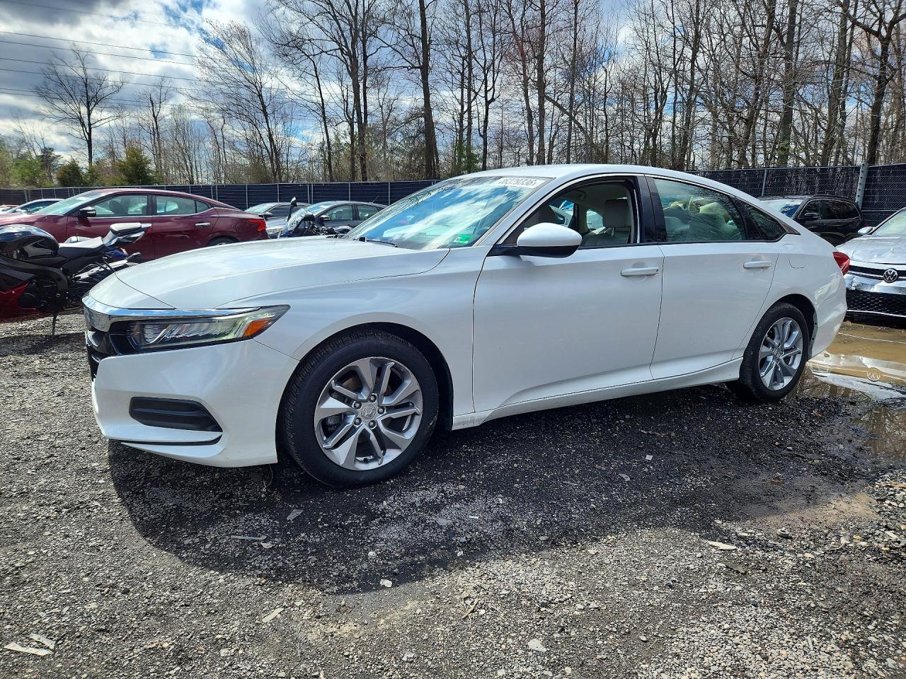 Salvage Honda Accord Image