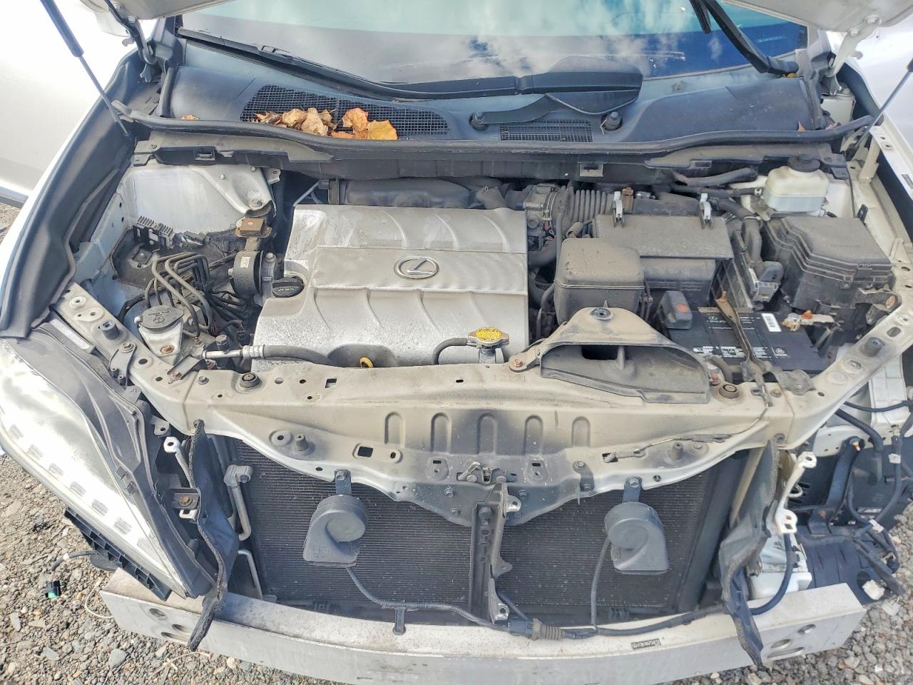 Lexus RX Base