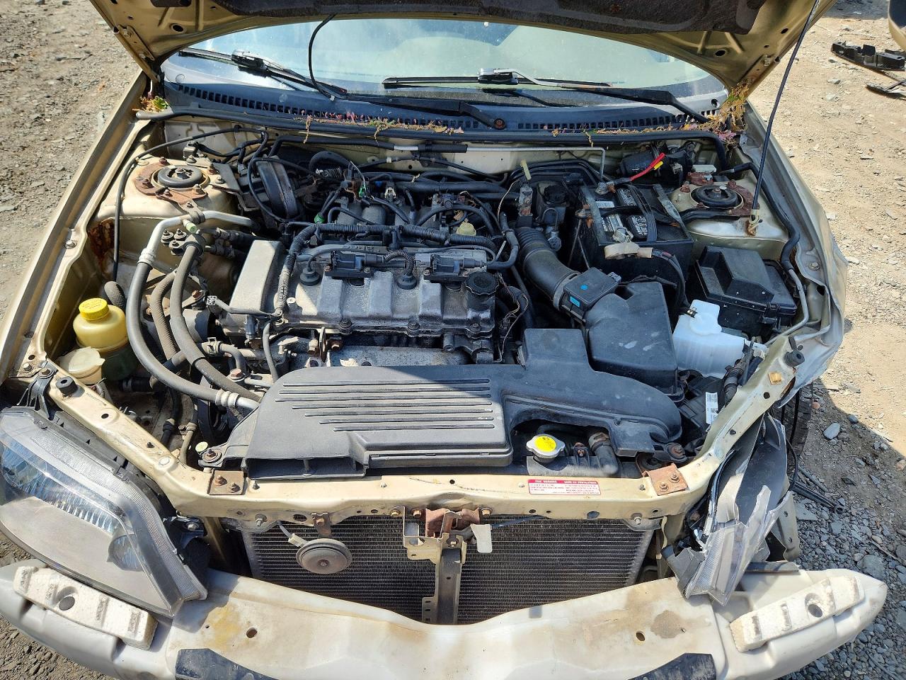 Mazda Protege Dx