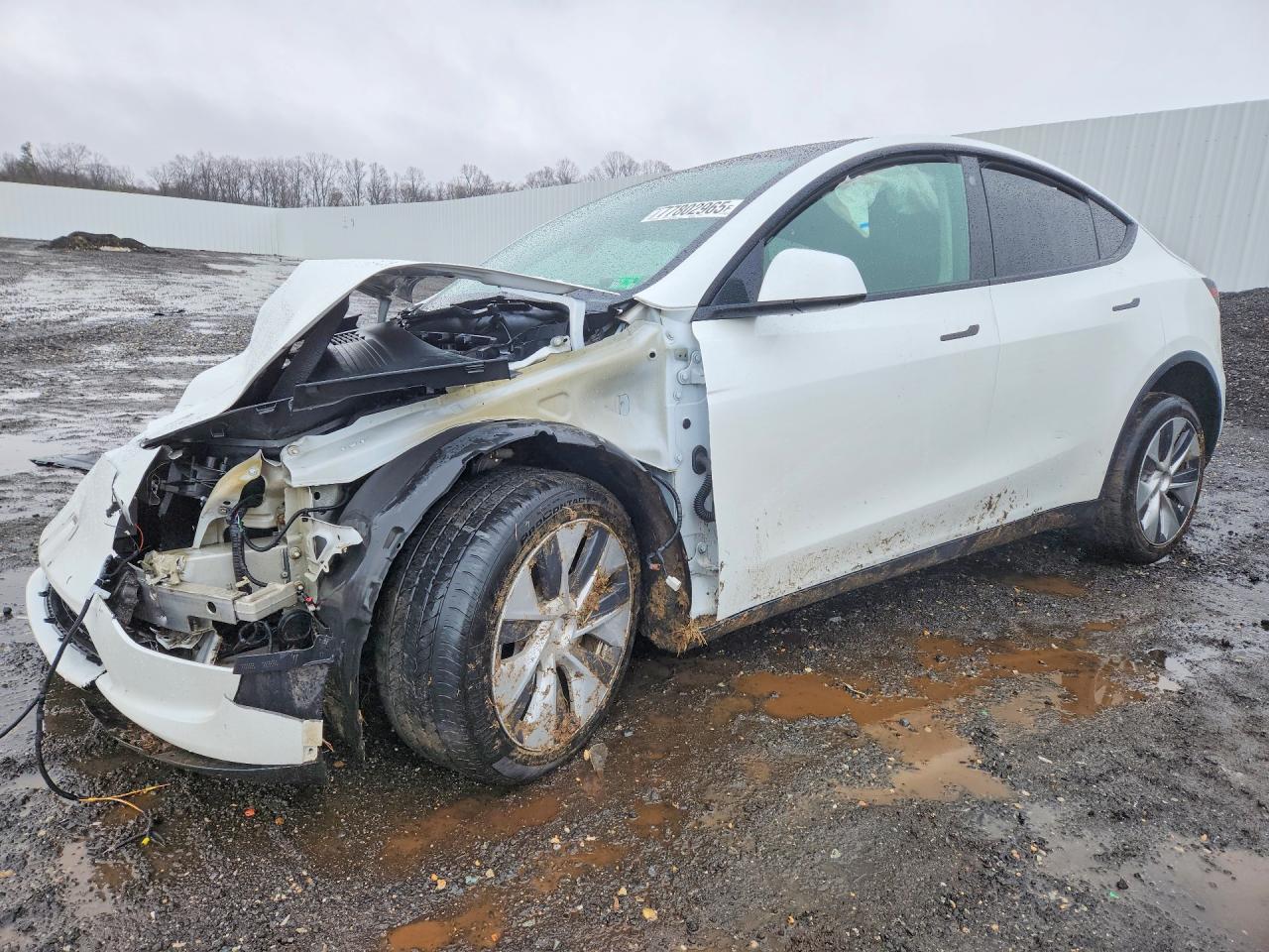 Salvage Tesla Model Y Image