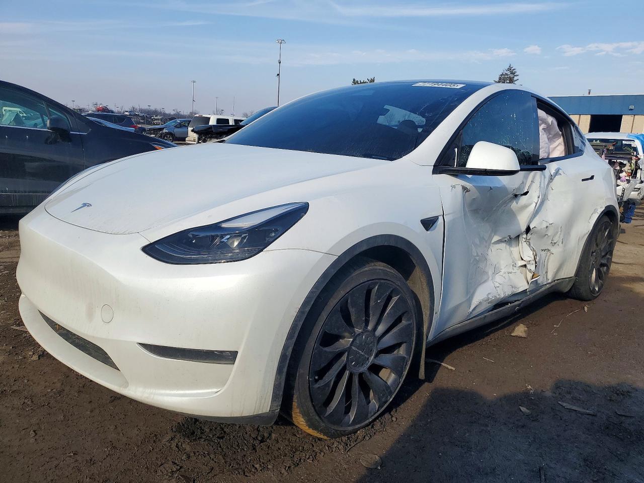 Salvage Tesla Model Y Image