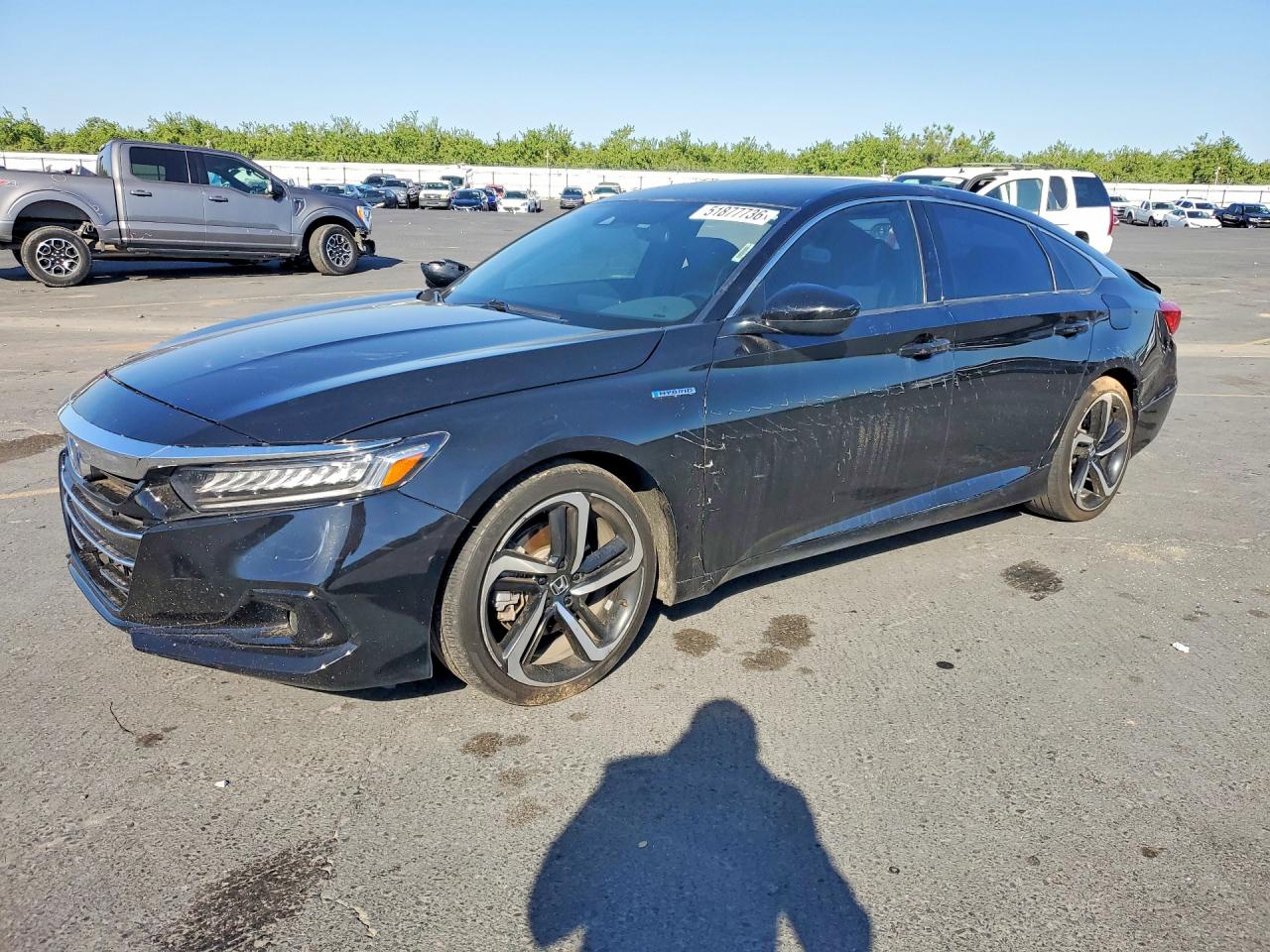 Salvage Honda Accord Image