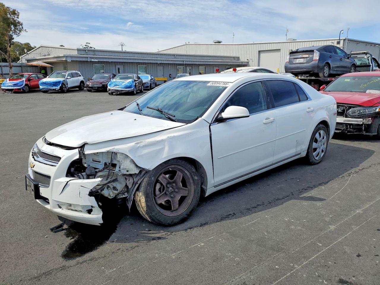 Salvage Chevrolet Malibu Image