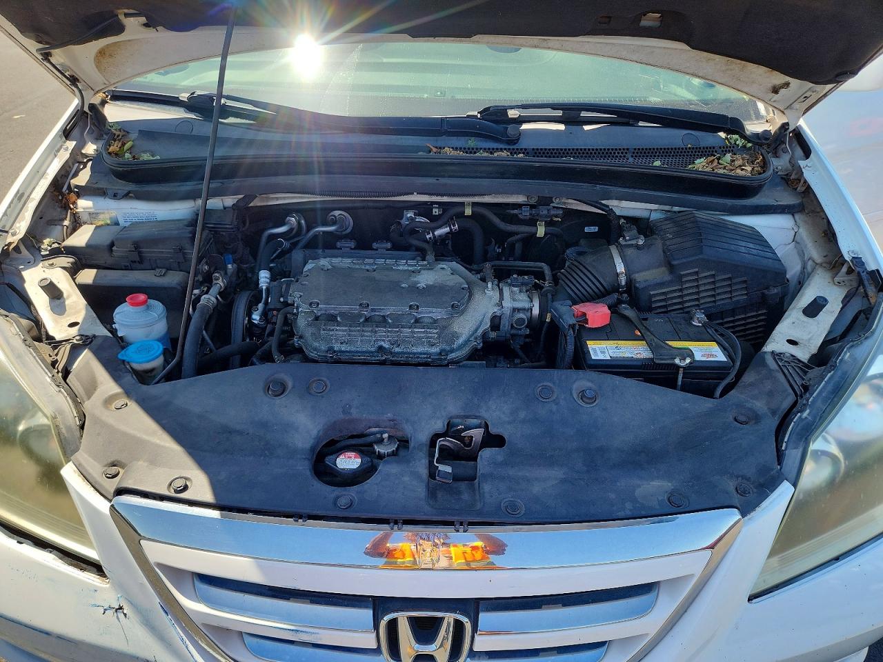 Honda Odyssey Exl