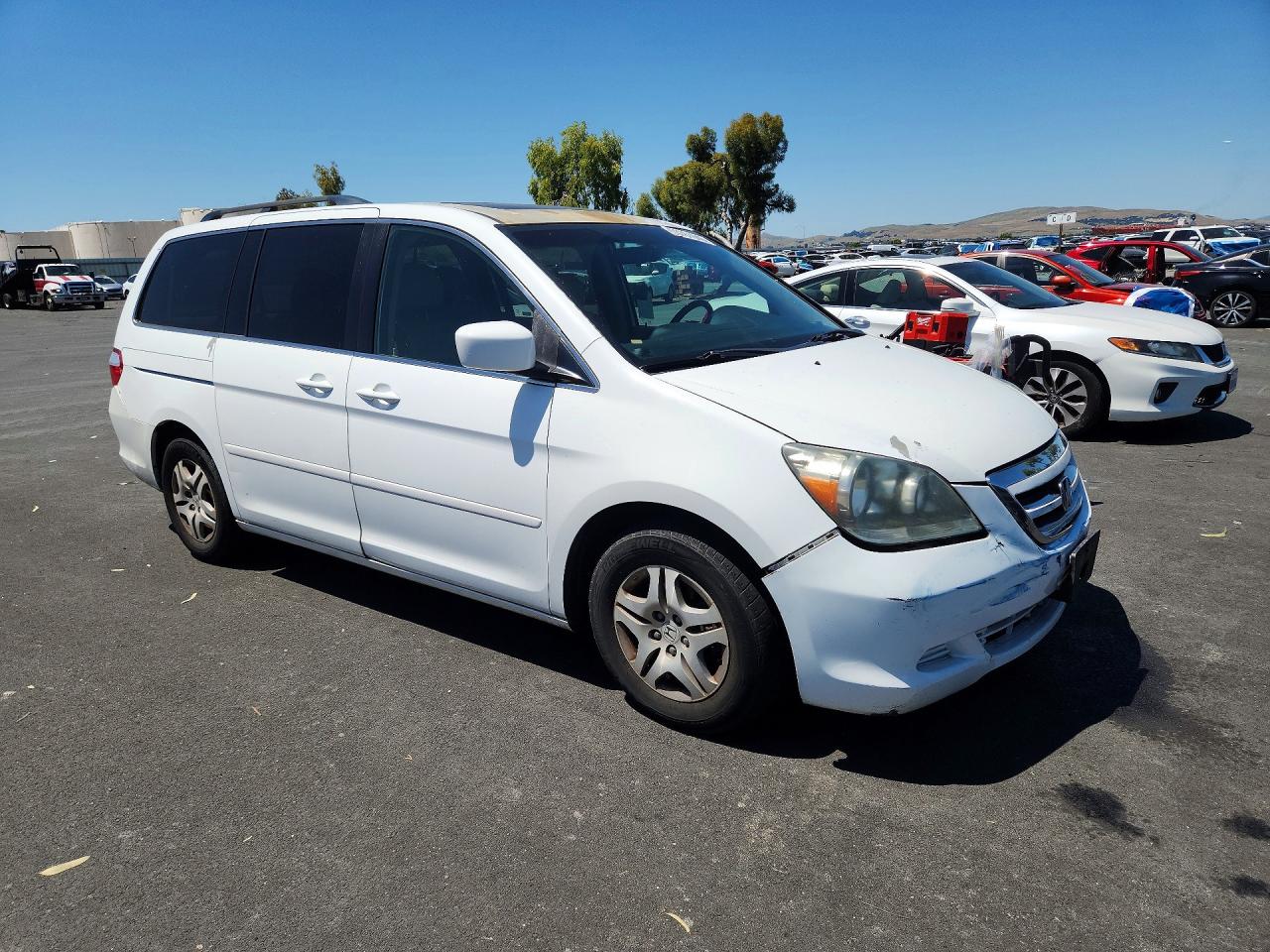 Honda Odyssey Exl