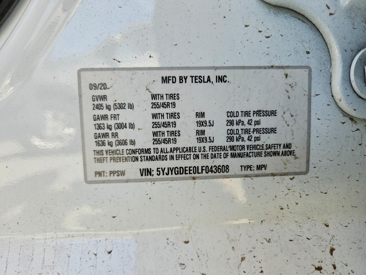 Tesla Model Y
