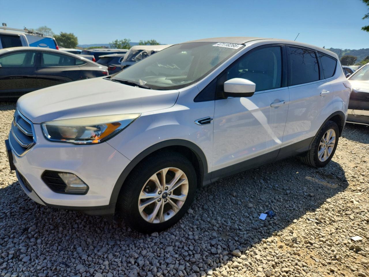 Salvage Ford Escape Image