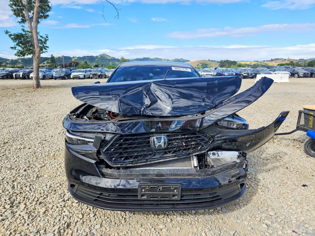 Honda Accord Hybrid Sport