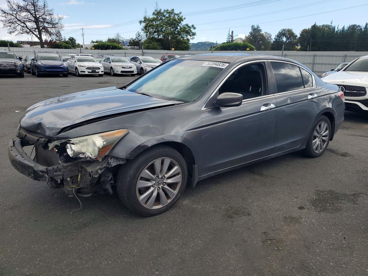Salvage Honda Accord Image