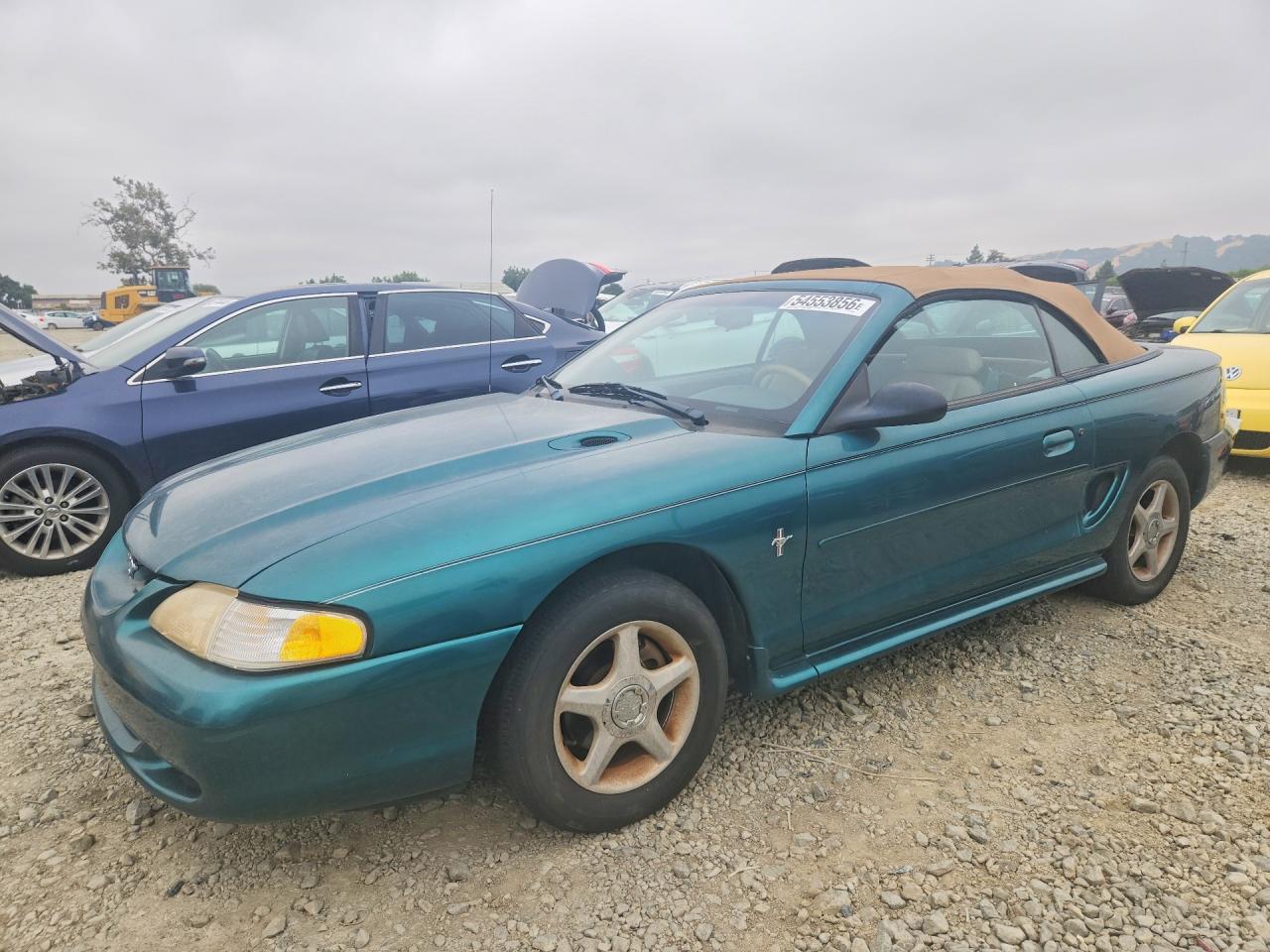 Salvage Ford Mustang Image
