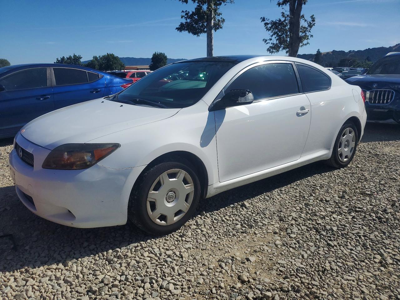 Salvage Scion TC Image