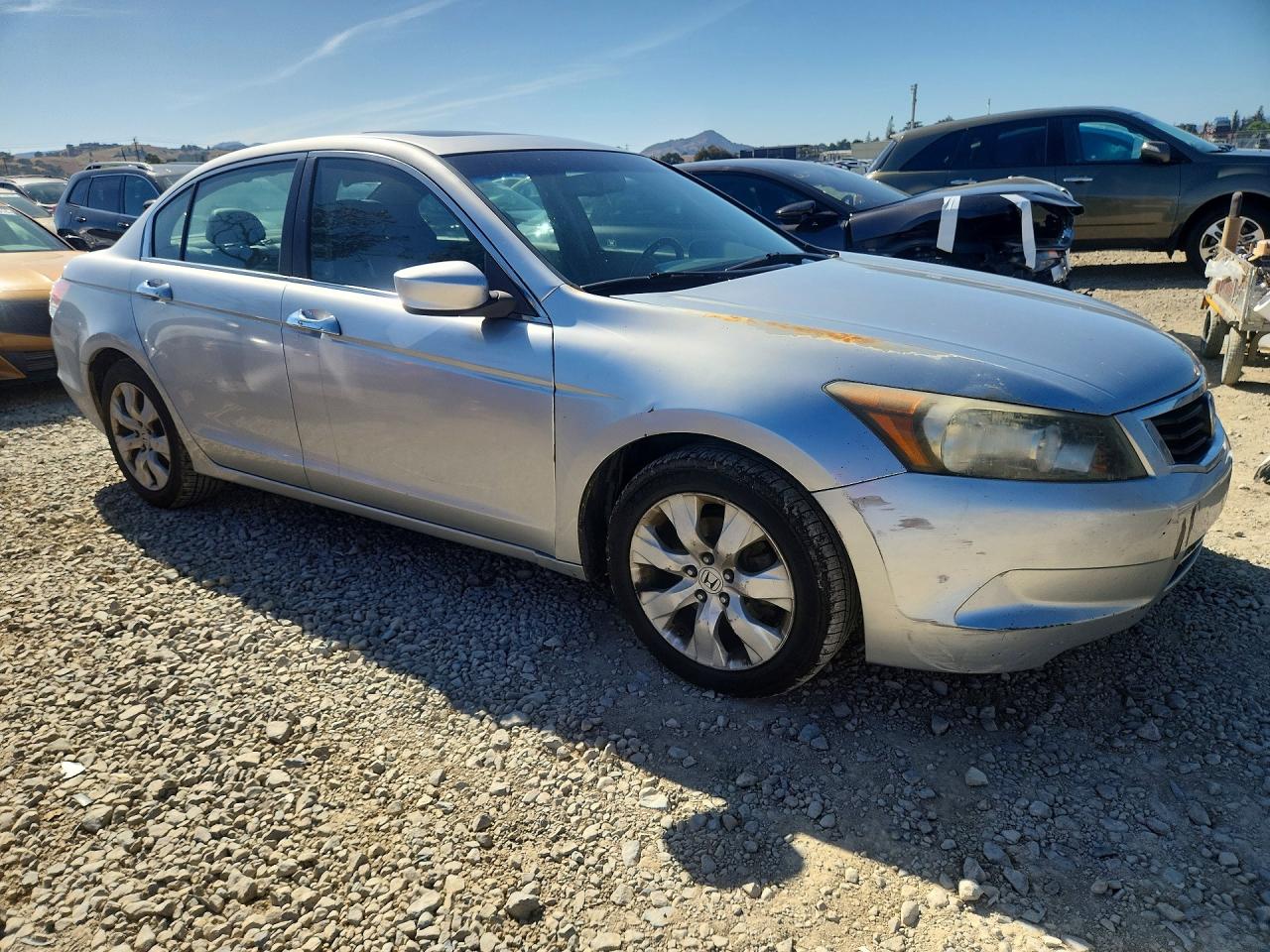 Honda Accord Exl