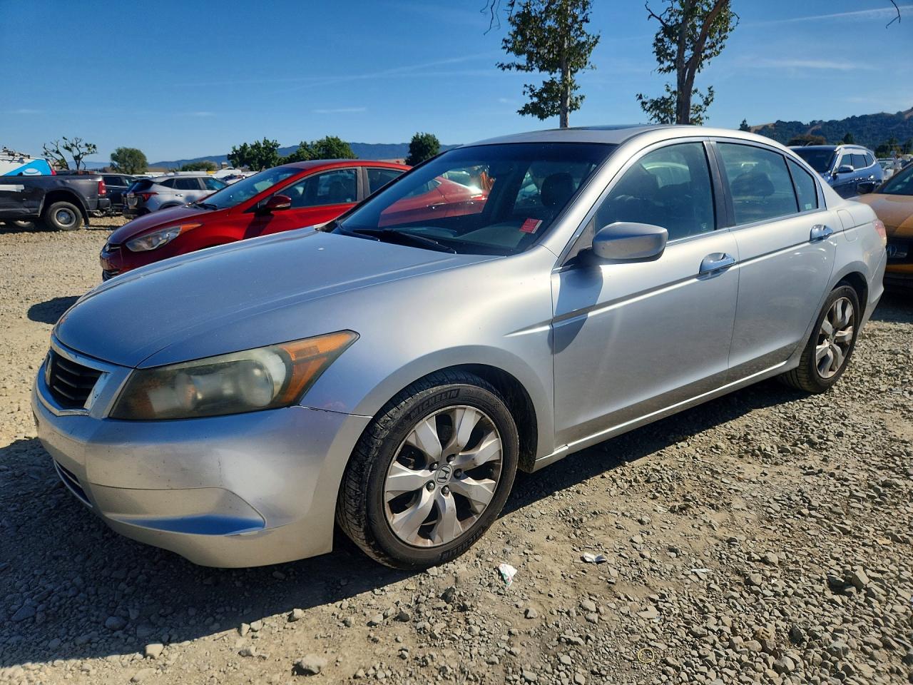 Salvage Honda Accord Image