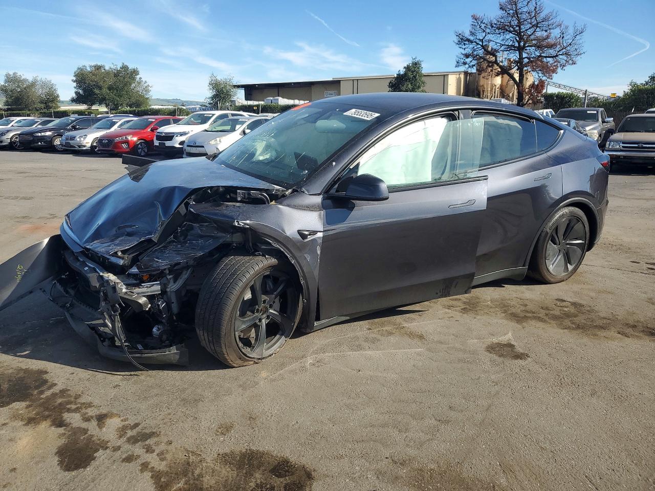 Salvage Tesla Model Y Image