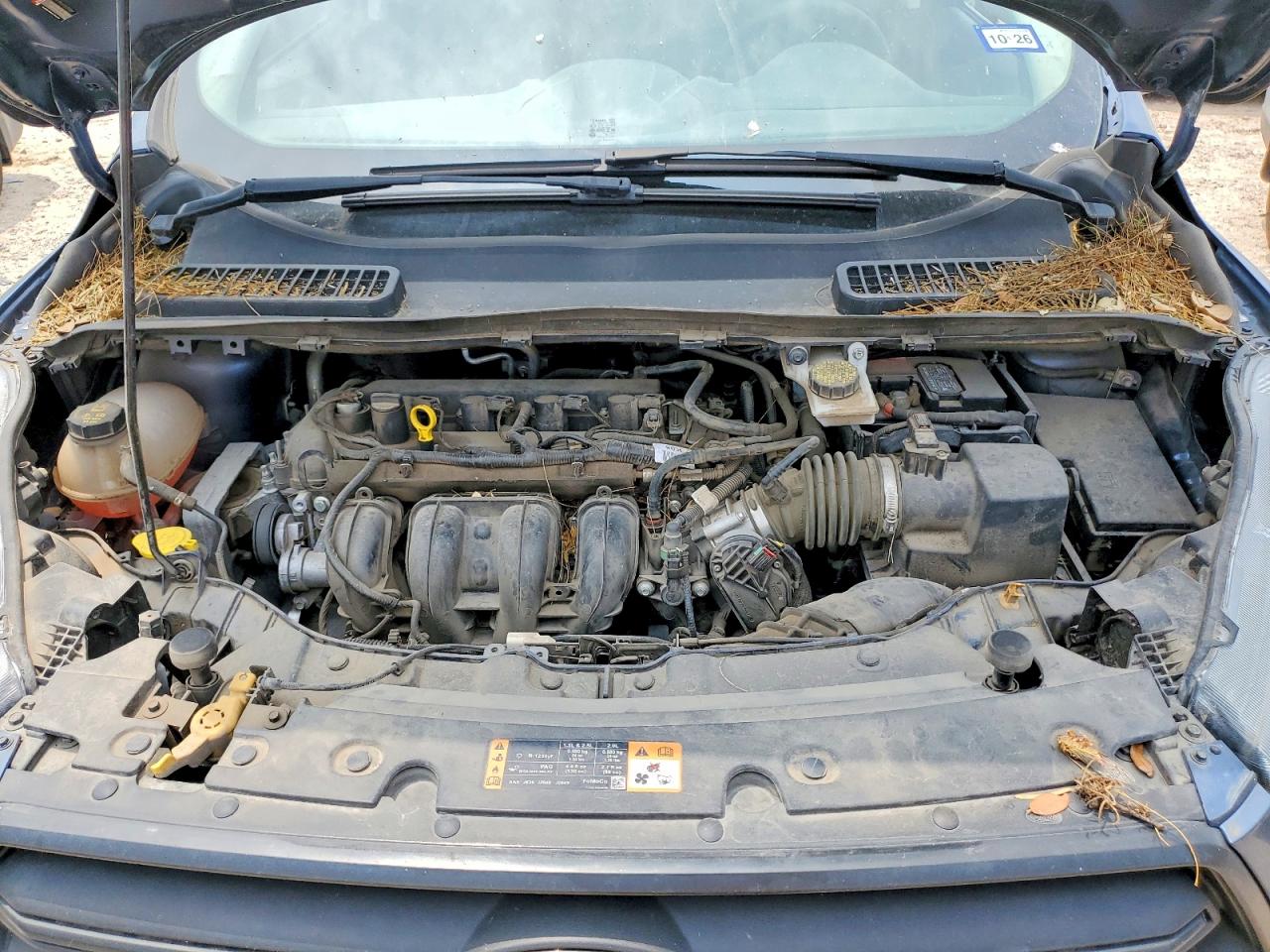 Ford Escape S