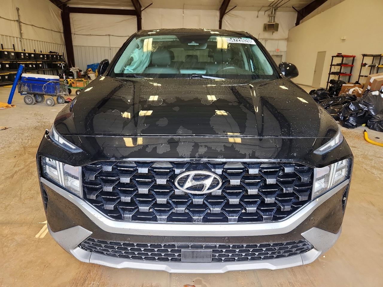 Hyundai SANTA FE Se