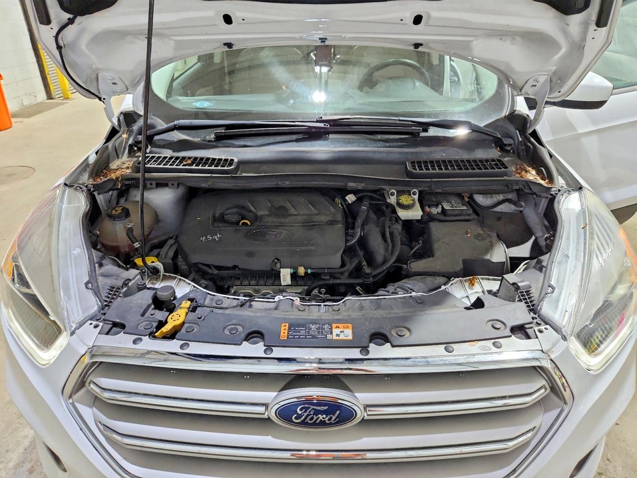 Ford Escape Sel