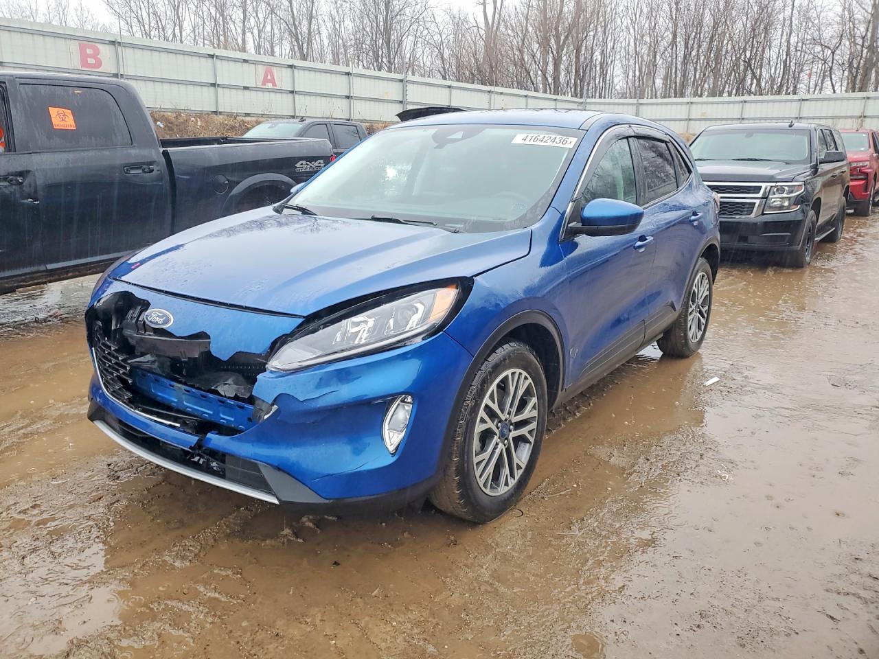 Salvage Ford Escape Image