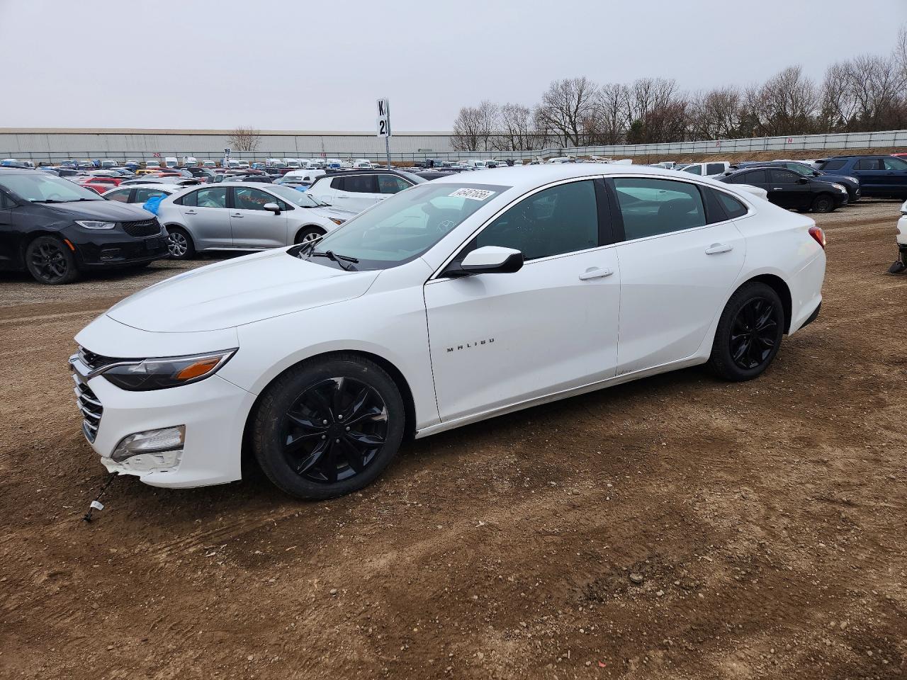 Salvage Chevrolet Malibu Image