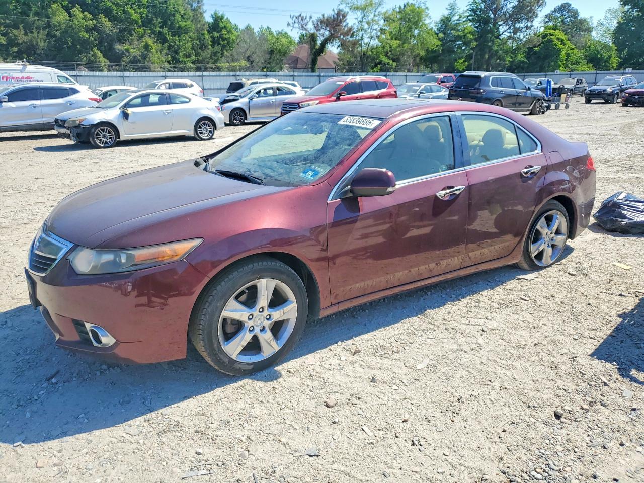 Salvage Acura TSX Image