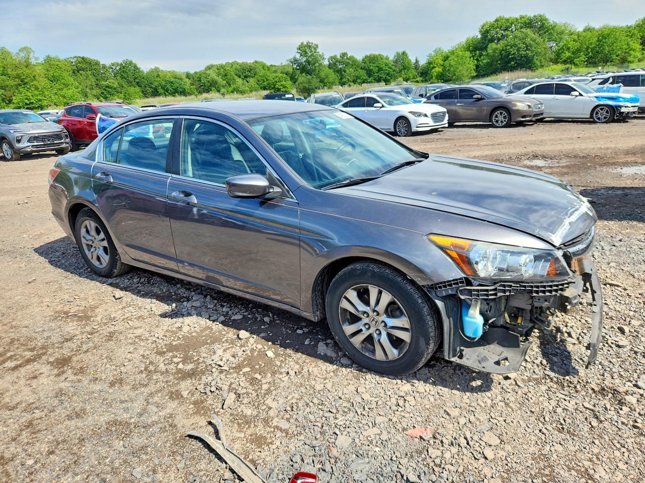 Honda Accord Se
