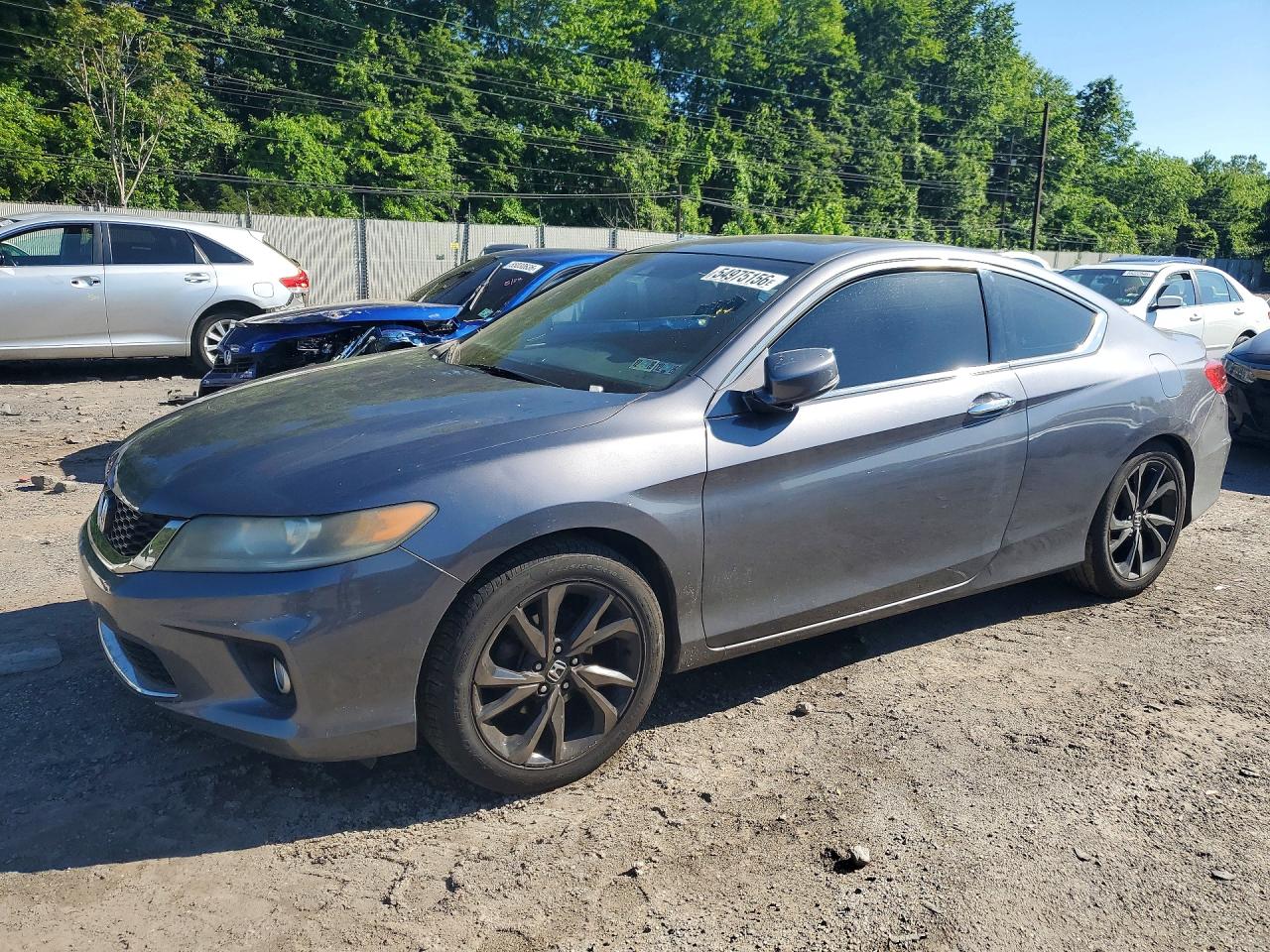 Salvage Honda Accord Image