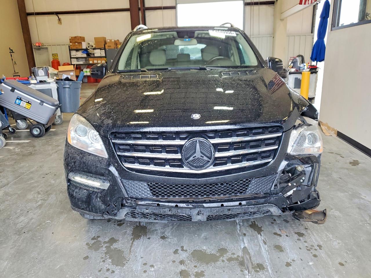 Mercedes-Benz M-Class 250 Bluetec