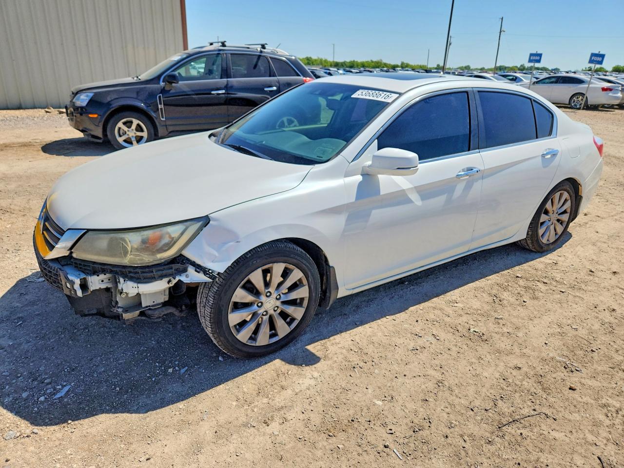 Salvage Honda Accord Image