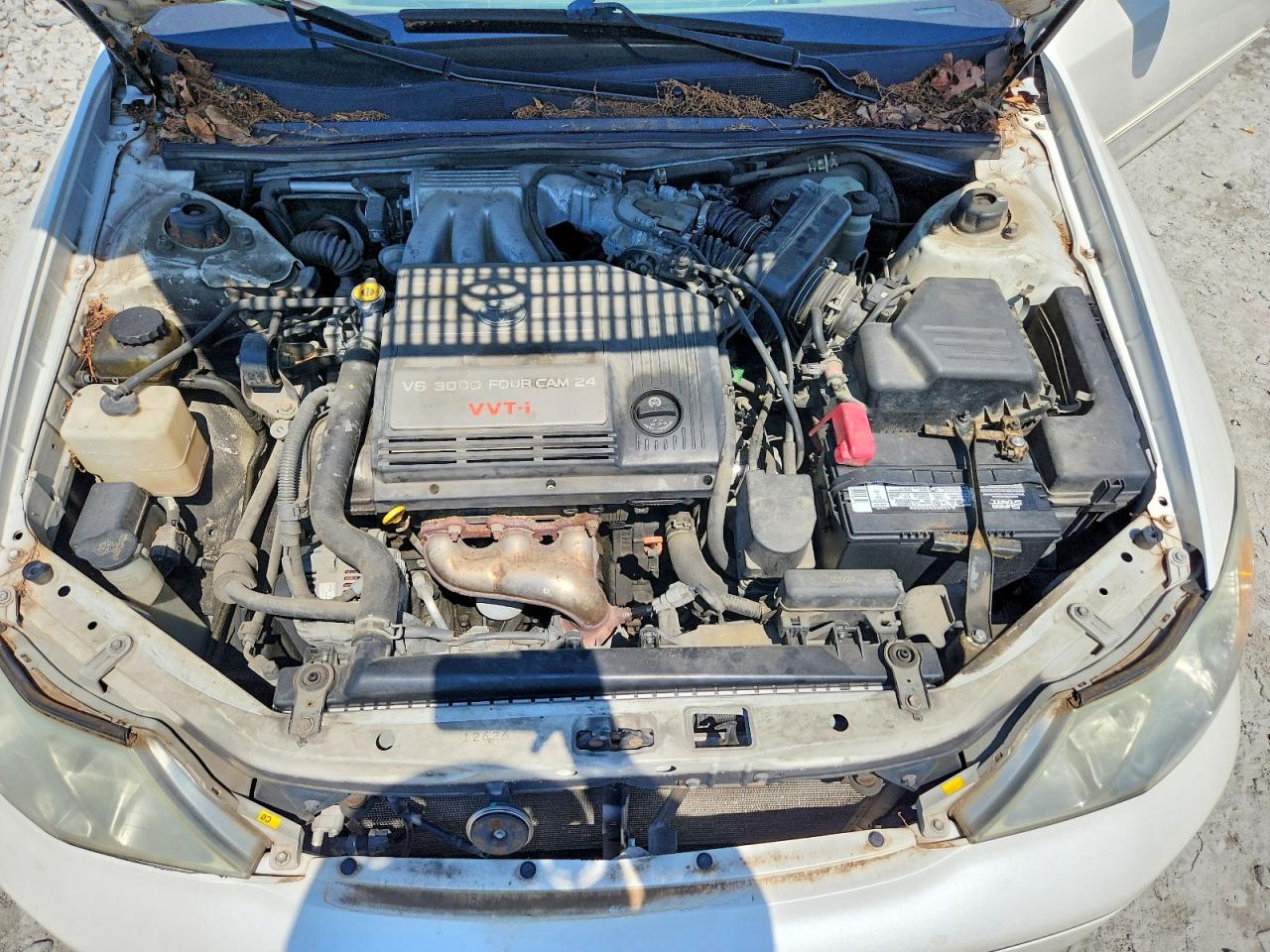 Toyota Avalon Xls