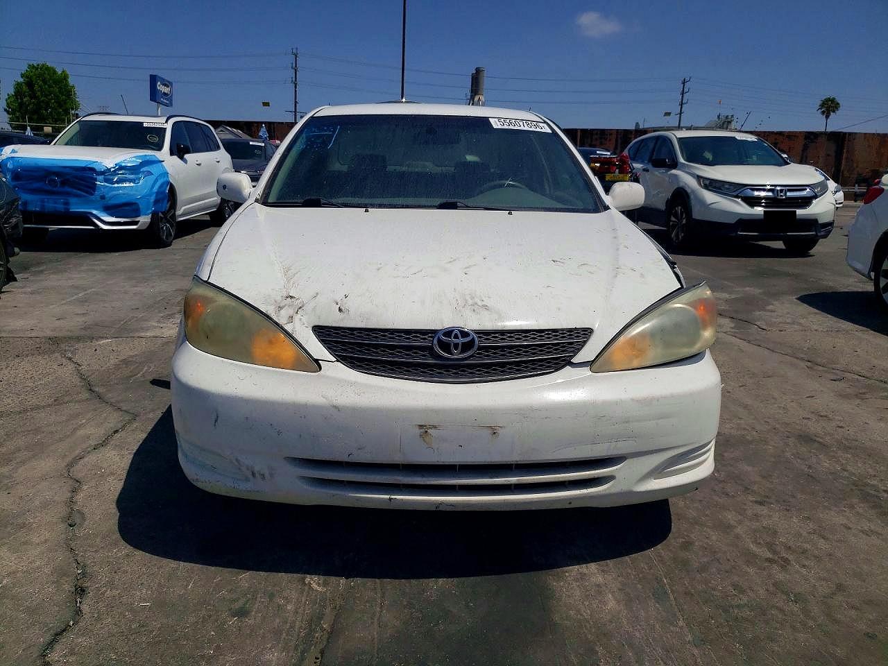 Toyota Camry Le V6