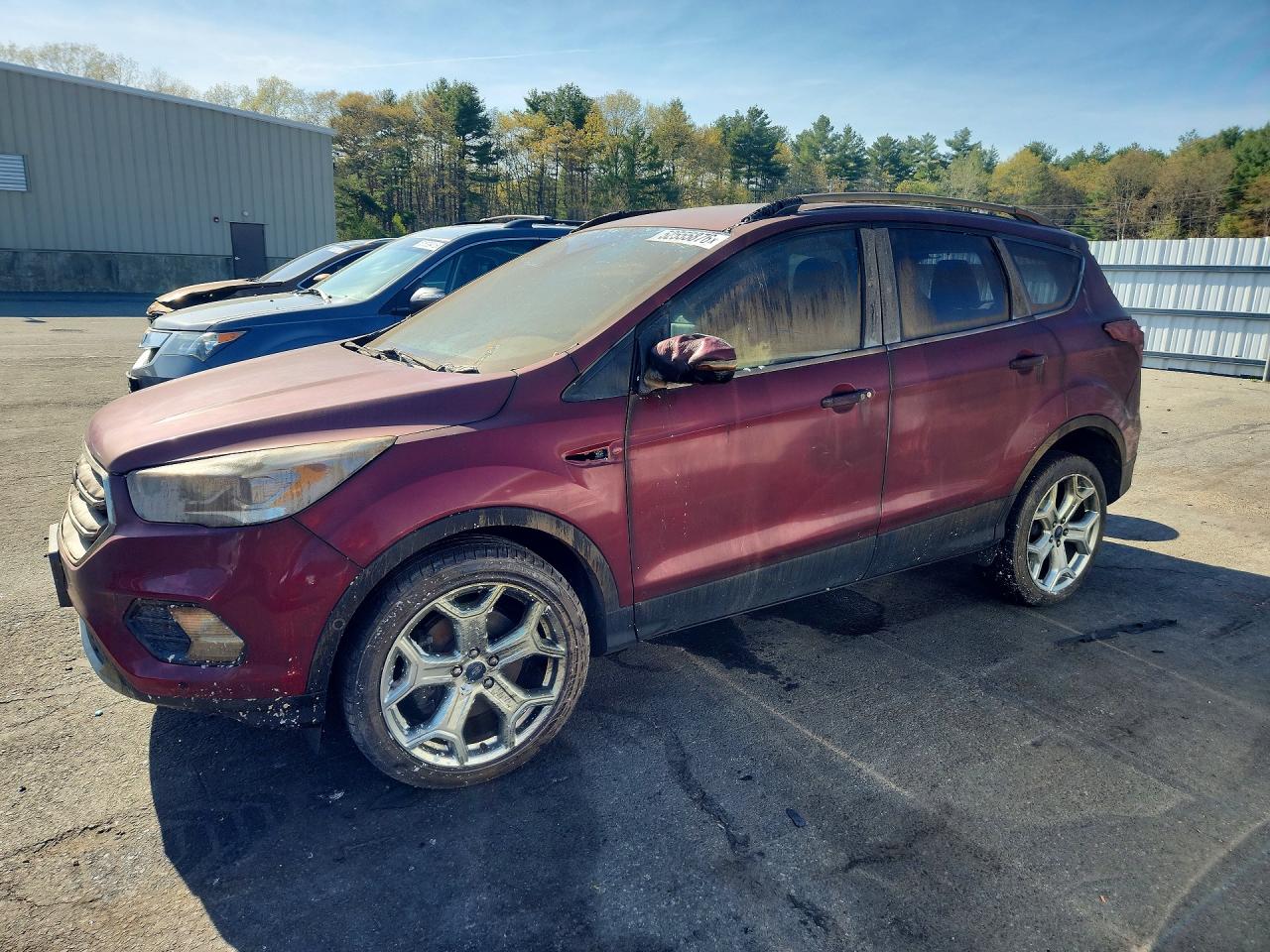 Salvage Ford Escape Image