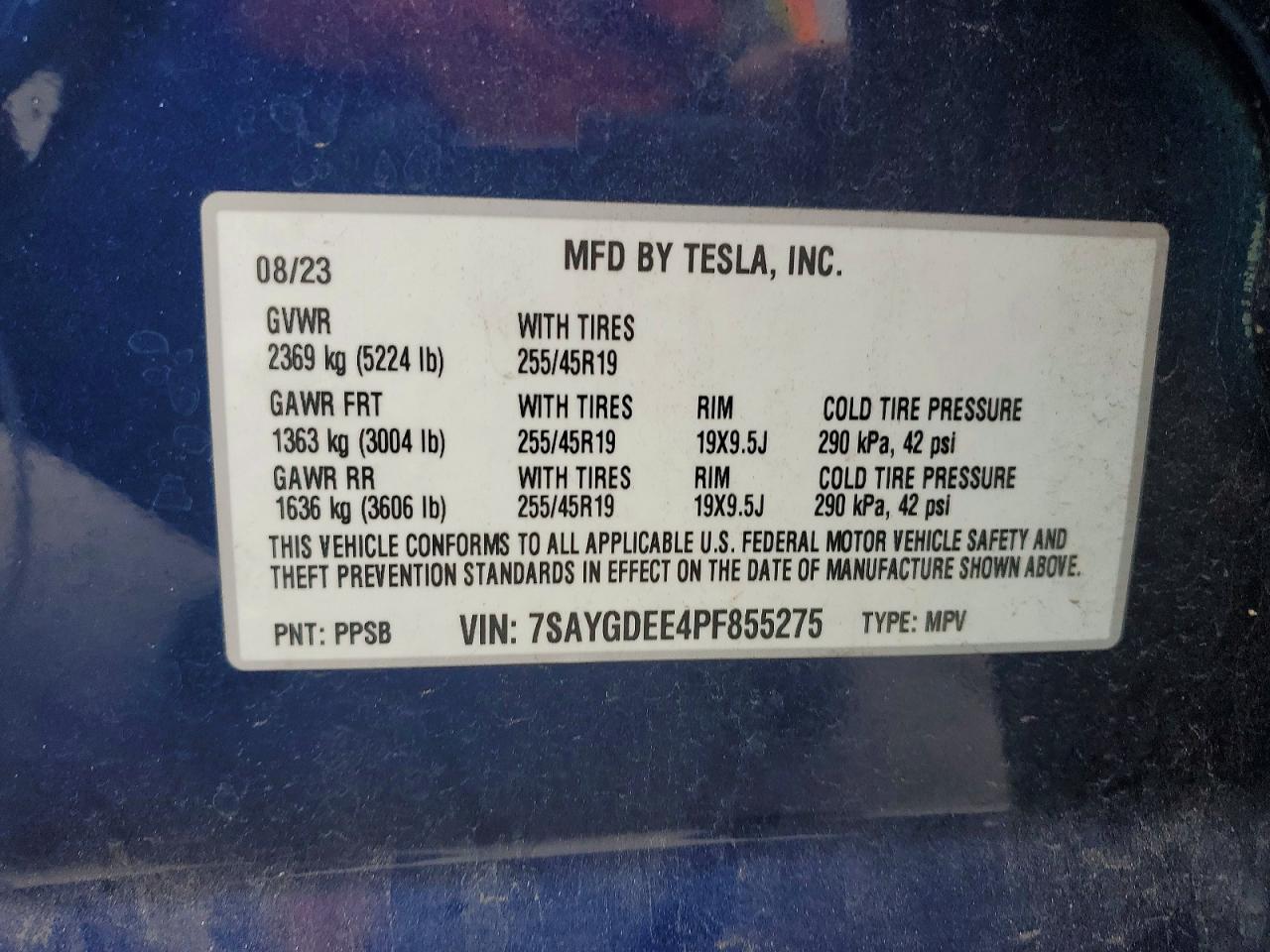 Tesla Model Y