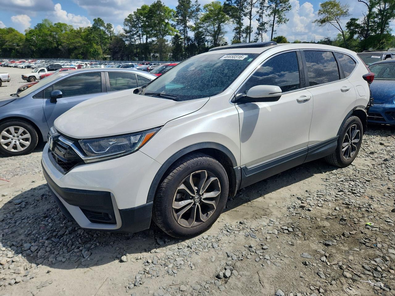 Salvage Honda Crv Image