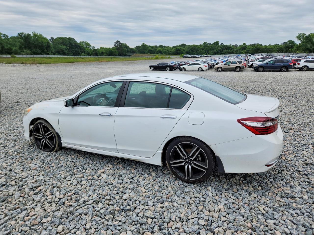 Honda Accord Sport