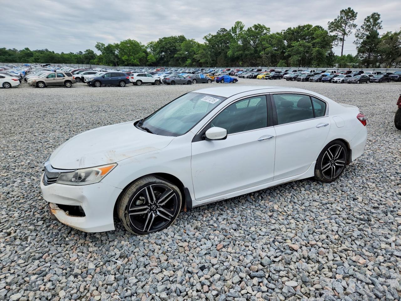 Salvage Honda Accord Image