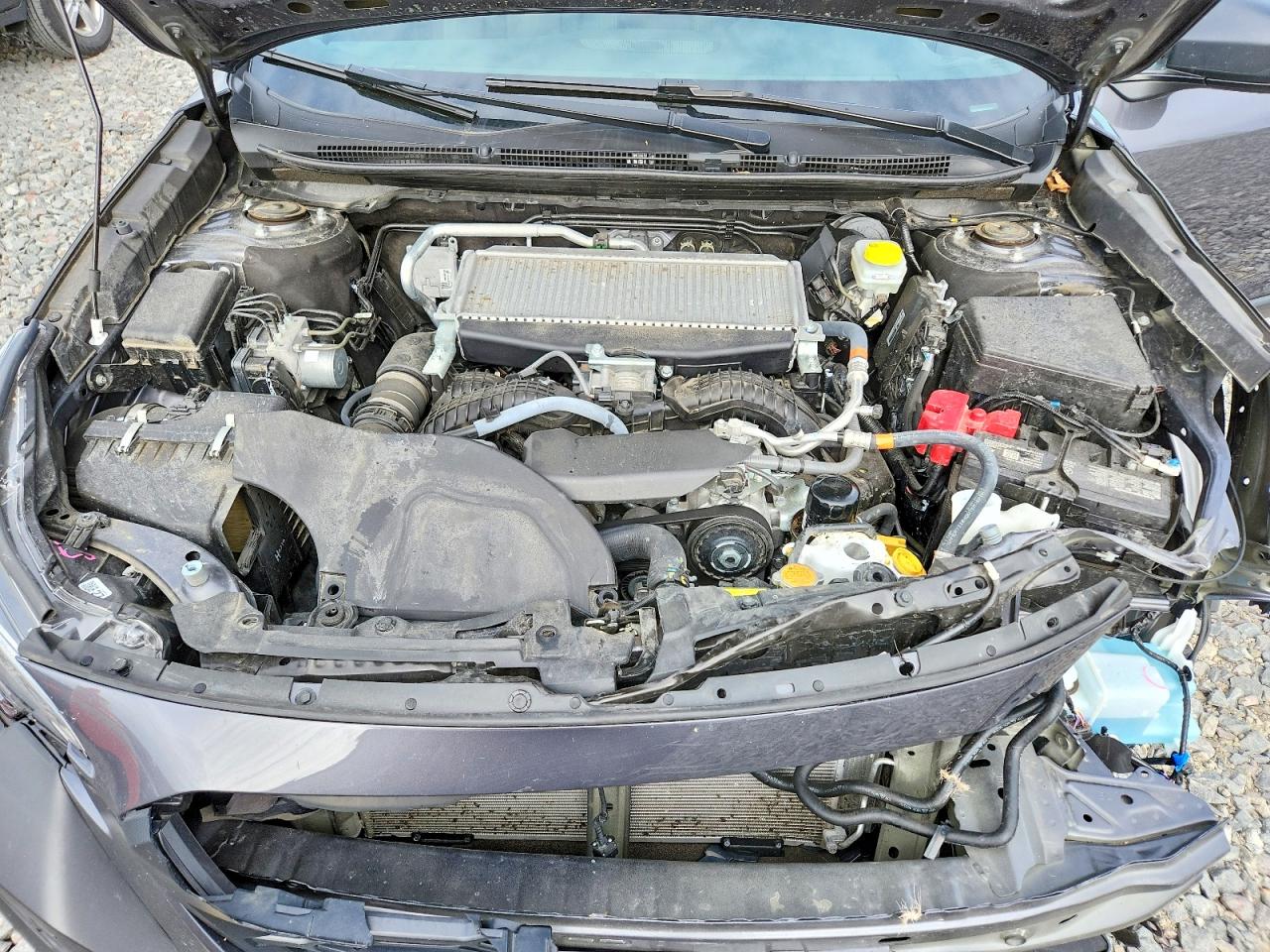 Subaru Outback Wilderness