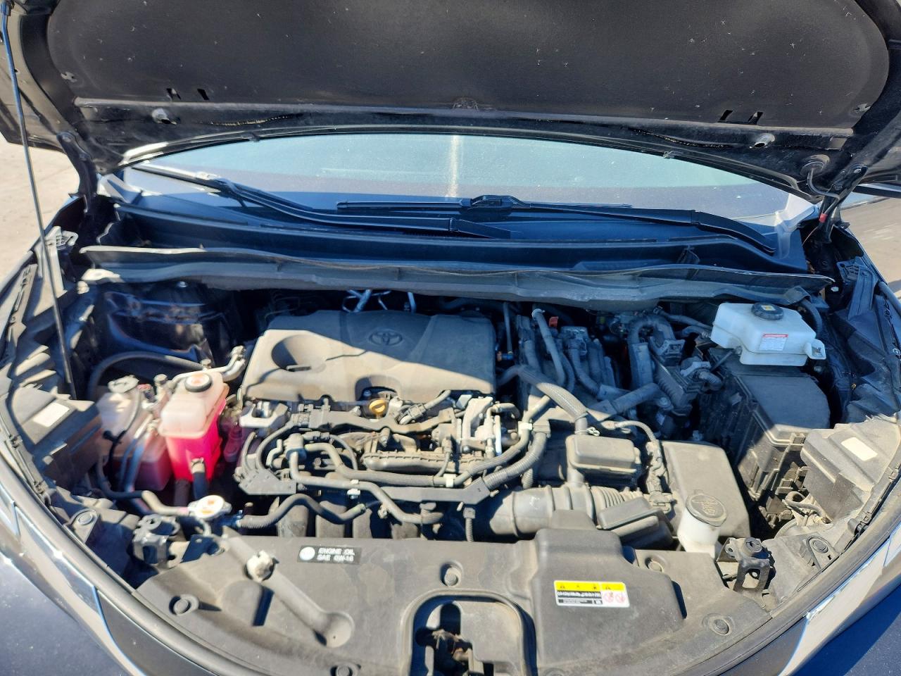 Toyota Sienna Le