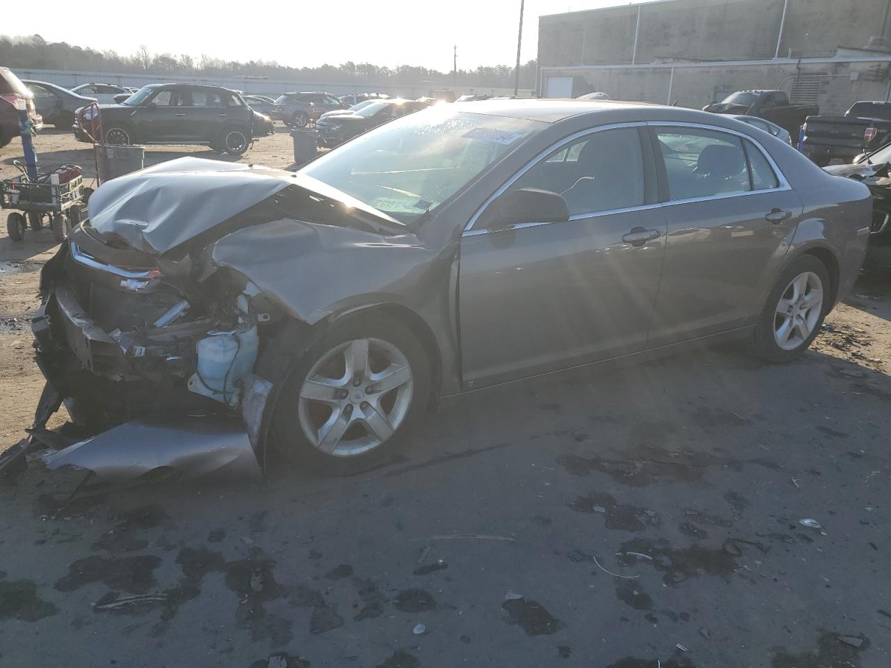 Salvage Chevrolet Malibu Image