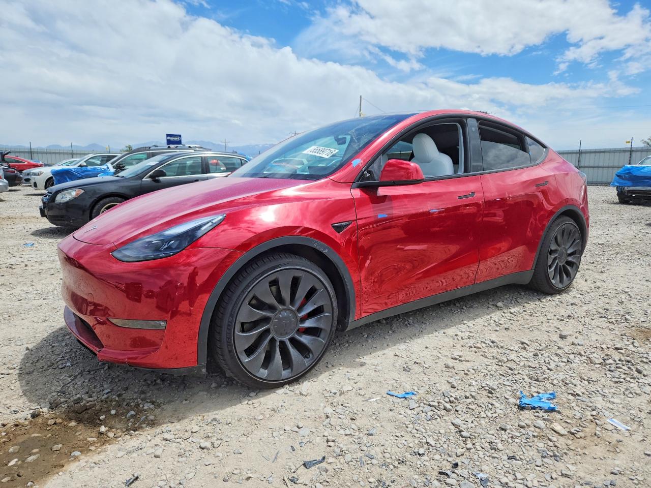 Salvage Tesla Model Y Image