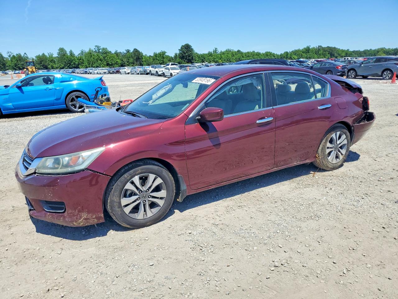 Salvage Honda Accord Image