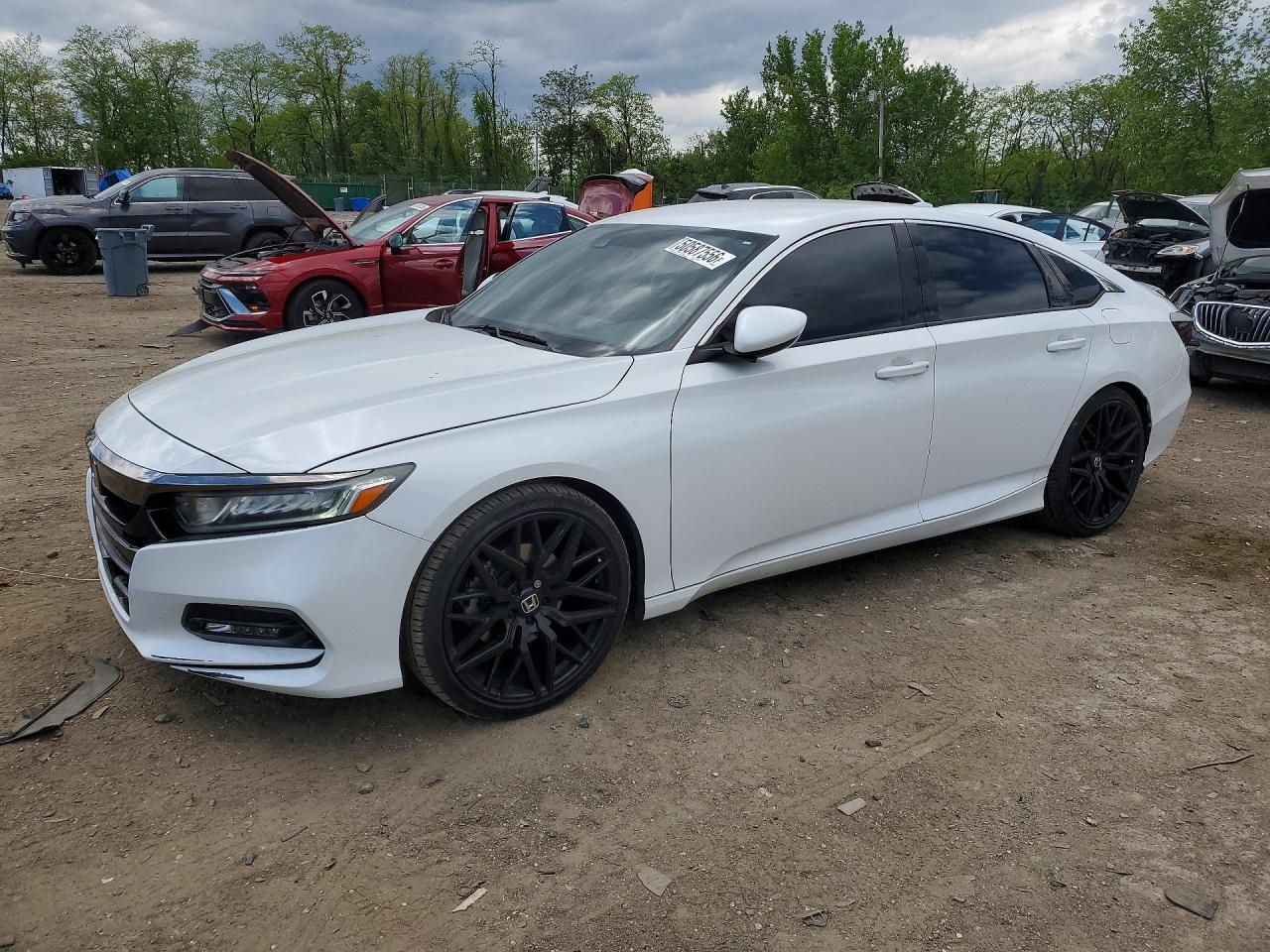 Salvage Honda Accord Image