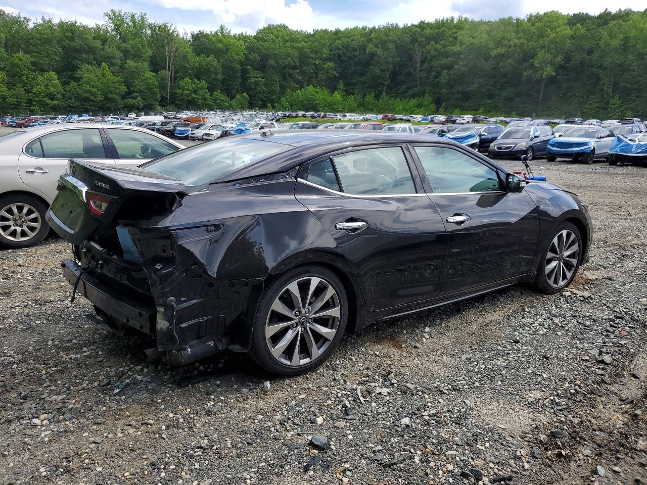 Nissan Maxima Platinum