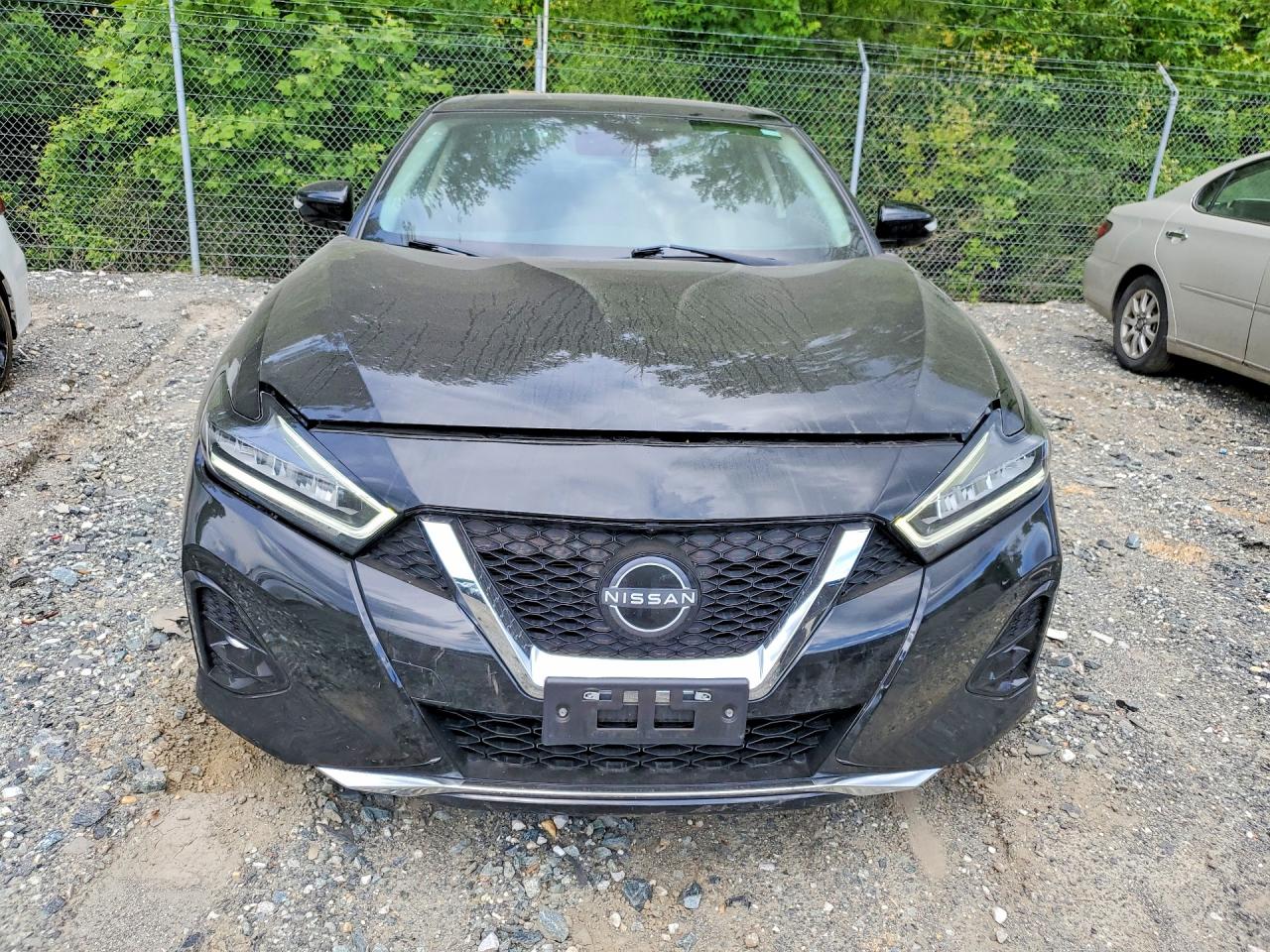 Nissan Maxima Platinum