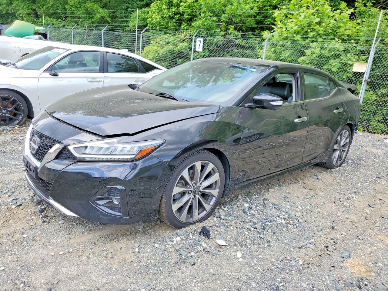 2023 Nissan Maxima