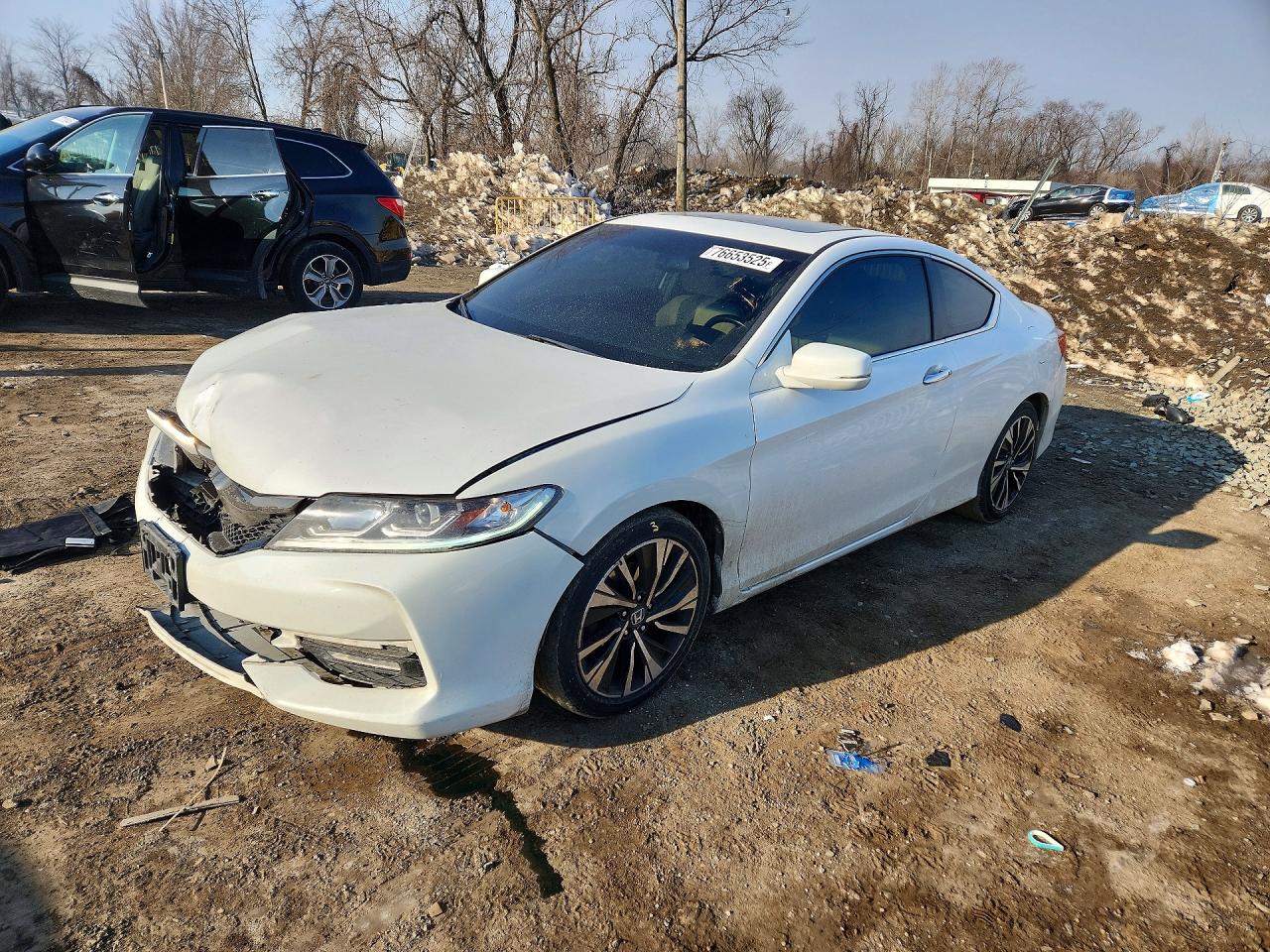 Salvage Honda Accord Image