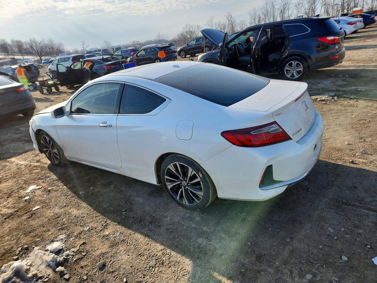Honda Accord Exl