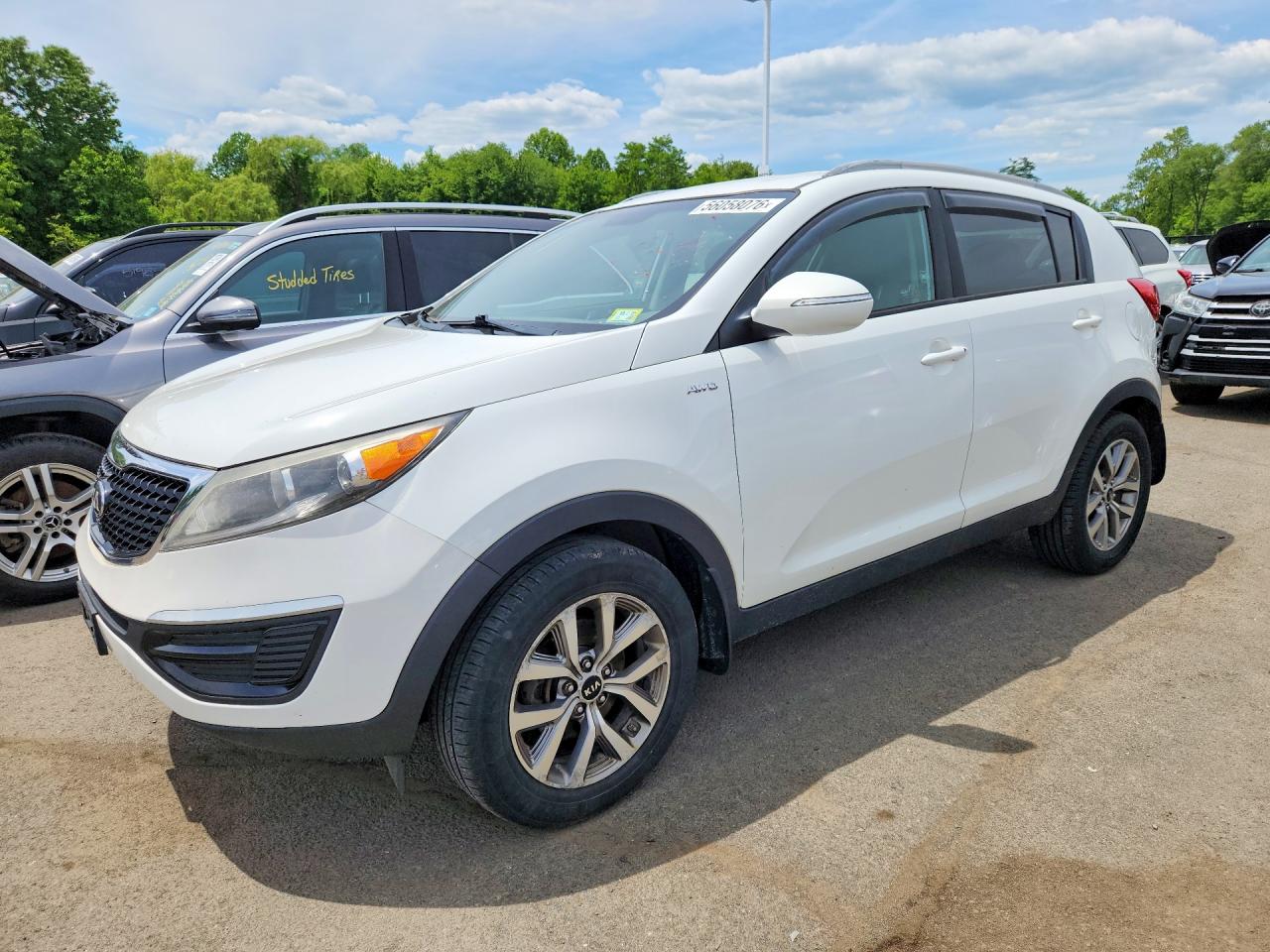 Salvage Kia Sportage Image